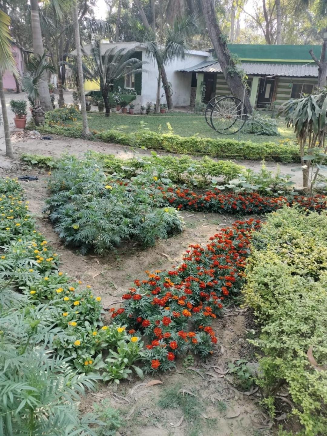 Lucky Beach Resorts , Balasore Chandipur Exterior photo